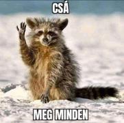 Személyes kép